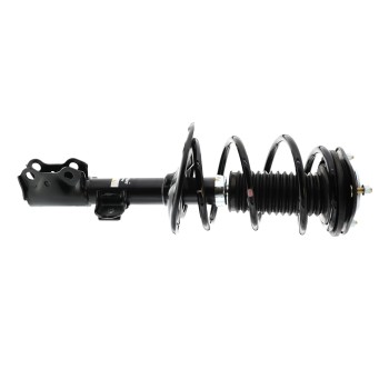 Suspension Strut and Coil Spring Assembly