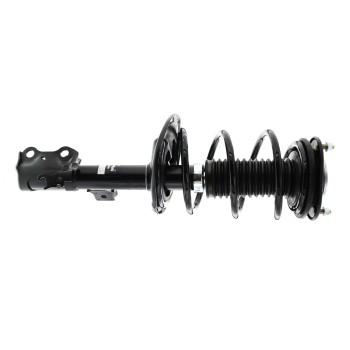 Suspension Strut and Coil Spring Assembly