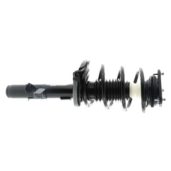 Suspension Strut and Coil Spring Assembly
