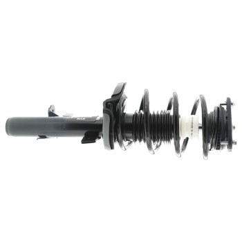 Suspension Strut and Coil Spring Assembly