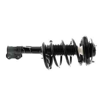Suspension Strut and Coil Spring Assembly