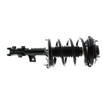 Suspension Strut and Coil Spring Assembly