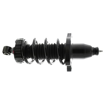 Suspension Strut and Coil Spring Assembly