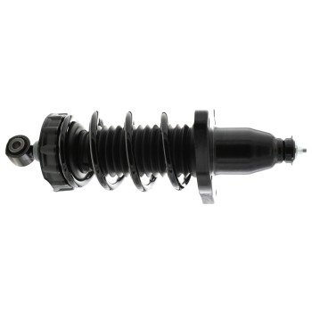 Suspension Strut and Coil Spring Assembly