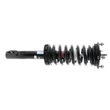 Suspension Strut and Coil Spring Assembly