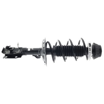 Suspension Strut and Coil Spring Assembly
