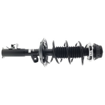 Suspension Strut and Coil Spring Assembly