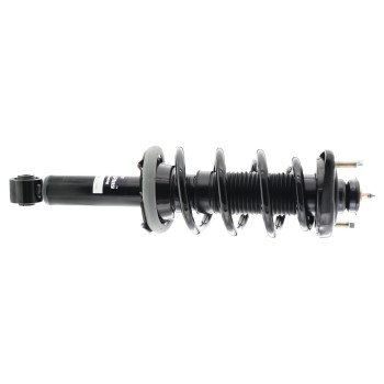 Suspension Strut and Coil Spring Assembly