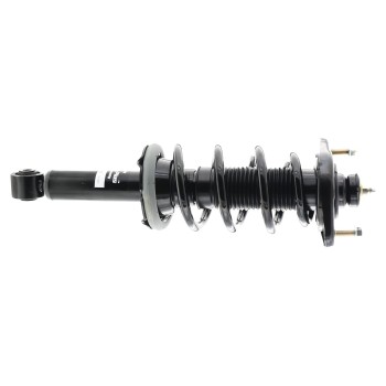 Suspension Strut and Coil Spring Assembly