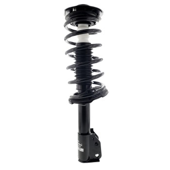Suspension Strut and Coil Spring Assembly