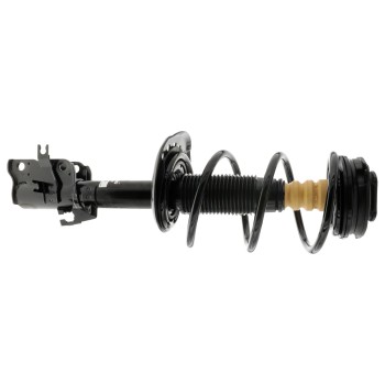 Suspension Strut and Coil Spring Assembly