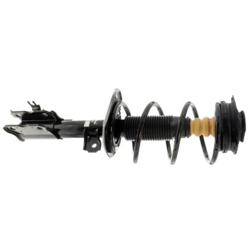 Suspension Strut and Coil Spring Assembly