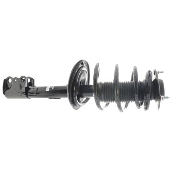 Suspension Strut and Coil Spring Assembly