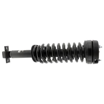 Suspension Strut and Coil Spring Assembly