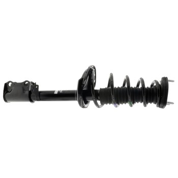 Suspension Strut and Coil Spring Assembly