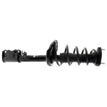 Suspension Strut and Coil Spring Assembly