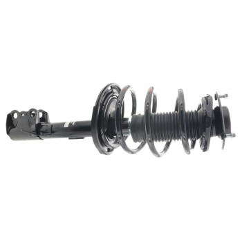 Suspension Strut and Coil Spring Assembly