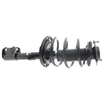 Suspension Strut and Coil Spring Assembly