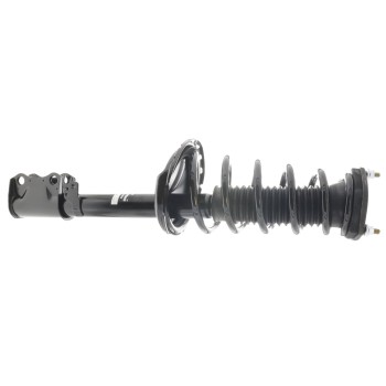 Suspension Strut and Coil Spring Assembly