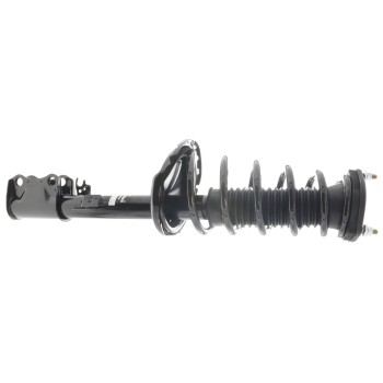 Suspension Strut and Coil Spring Assembly