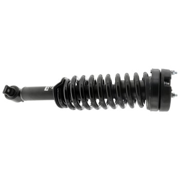 Suspension Strut and Coil Spring Assembly