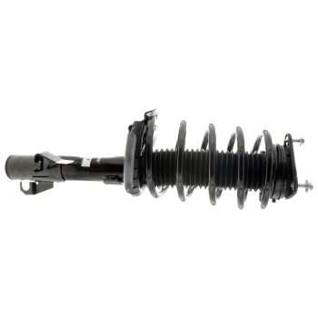 Suspension Strut and Coil Spring Assembly