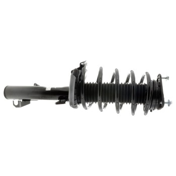Suspension Strut and Coil Spring Assembly