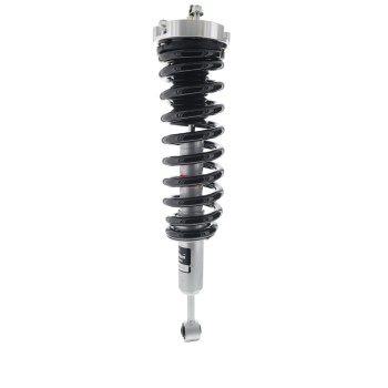 Suspension Strut and Coil Spring Assembly