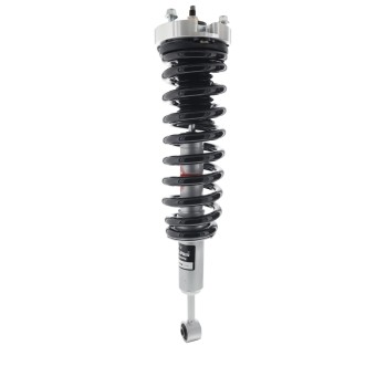 Suspension Strut and Coil Spring Assembly