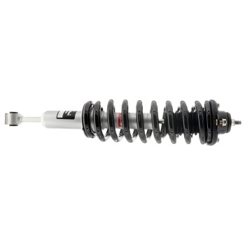 Suspension Strut and Coil Spring Assembly