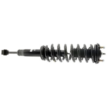 Suspension Strut and Coil Spring Assembly