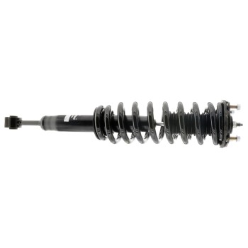 Suspension Strut and Coil Spring Assembly