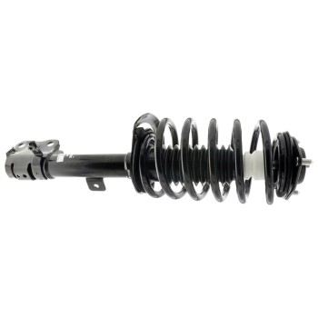 Suspension Strut and Coil Spring Assembly
