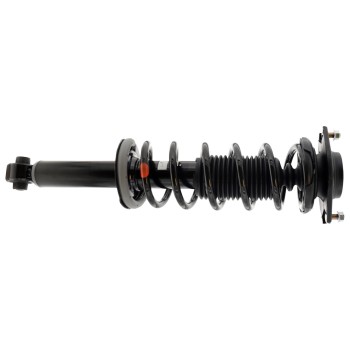 Suspension Strut and Coil Spring Assembly