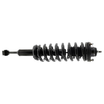 Suspension Strut and Coil Spring Assembly