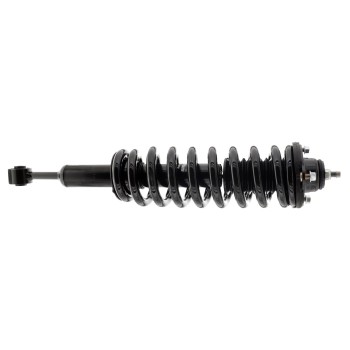 Suspension Strut and Coil Spring Assembly