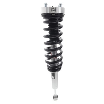 Suspension Strut and Coil Spring Assembly
