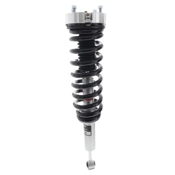 Suspension Strut and Coil Spring Assembly