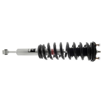 Suspension Strut and Coil Spring Assembly
