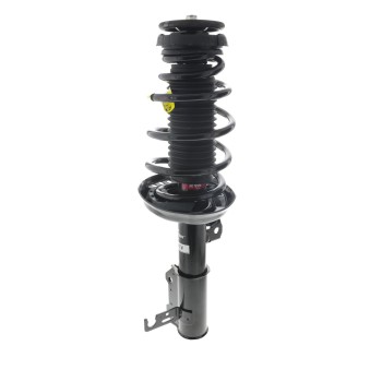 Suspension Strut and Coil Spring Assembly