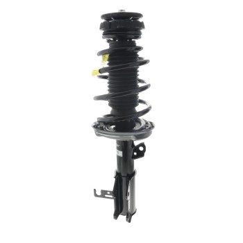 Suspension Strut and Coil Spring Assembly