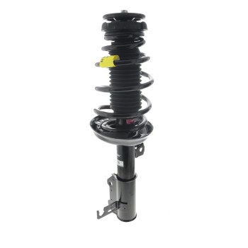 Suspension Strut and Coil Spring Assembly