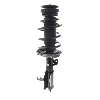 Suspension Strut and Coil Spring Assembly
