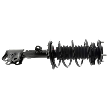 Suspension Strut and Coil Spring Assembly
