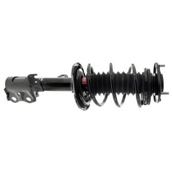 Suspension Strut and Coil Spring Assembly