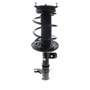 Suspension Strut and Coil Spring Assembly