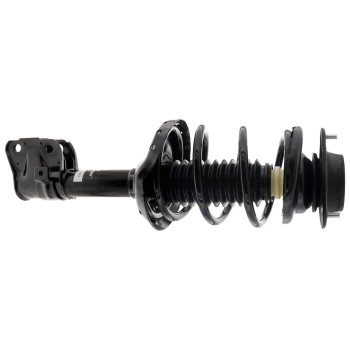 Suspension Strut and Coil Spring Assembly