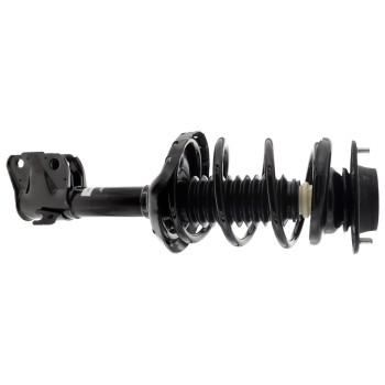 Suspension Strut and Coil Spring Assembly