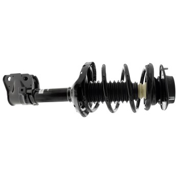 Suspension Strut and Coil Spring Assembly
