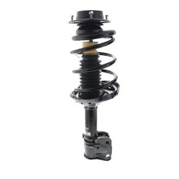Suspension Strut and Coil Spring Assembly